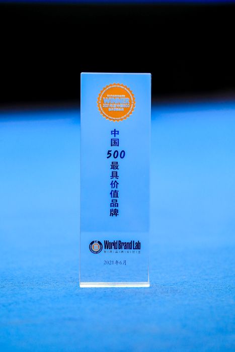 《中國500最具價(jià)值品牌》